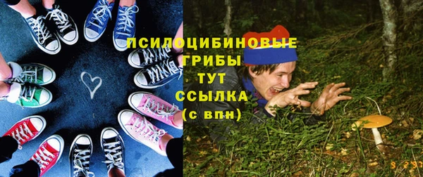 ПСИЛОЦИБИНОВЫЕ ГРИБЫ Касимов