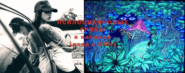 мет Каменногорск