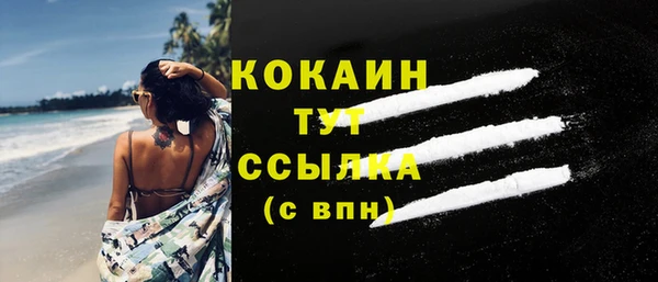 стаф Карпинск