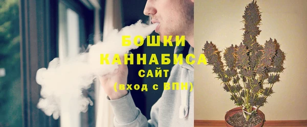 стаф Карпинск
