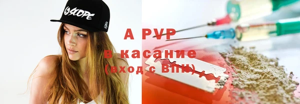ПСИЛОЦИБИНОВЫЕ ГРИБЫ Касимов