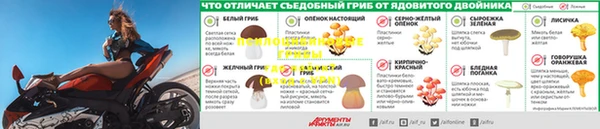 стаф Карпинск