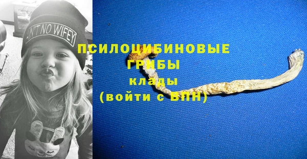 ПСИЛОЦИБИНОВЫЕ ГРИБЫ Касимов