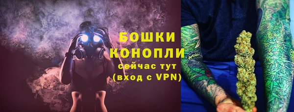 ПСИЛОЦИБИНОВЫЕ ГРИБЫ Касимов