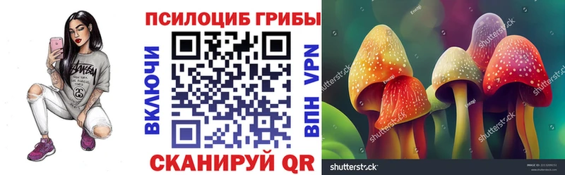 Псилоцибиновые грибы мухоморы  Купить  Барабинск 